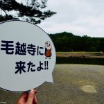 平泉の旅、半日でどこまで巡れるか。毛越寺で感じる平安庭園編